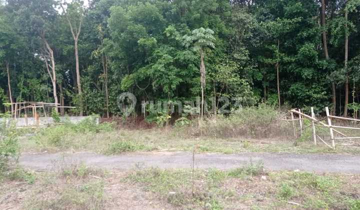 Dijual Sebidang Tanah kavling di Sardonoharjo, Ngaglik, Sleman - Selatan UII Kaliurang