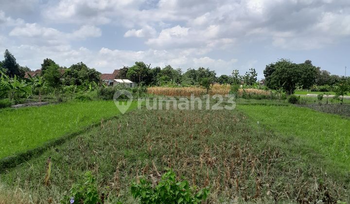 Dijual Tanah Pekarangan Strategis di Panggungharjo, Sewon, Bantul