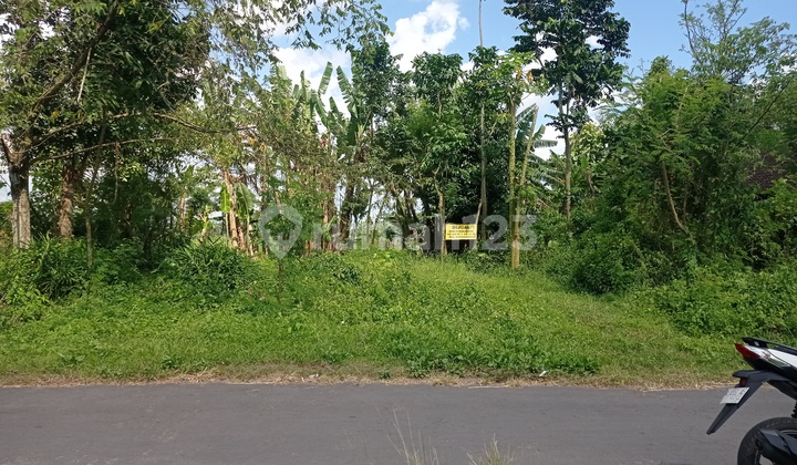 Dijual Tanah Sangat Murah di Kemudo, Prambanan, Klaten