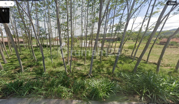 Dijual Tanah di Area Berkembang di Srimulyo, Piyungan, Bantul - Dekat Bukit Bintang Dijual Tanah di Area Berkembang di Srimulyo, Piyungan, Bantul - Dekat Bukit Bintang