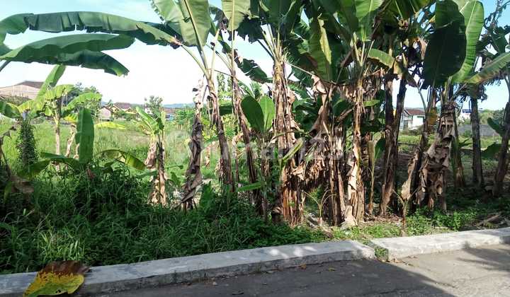 Dijual Tanah Murah di Banguntapan, Yogyakarta Dijual Tanah Murah di Banguntapan, Yogyakarta
