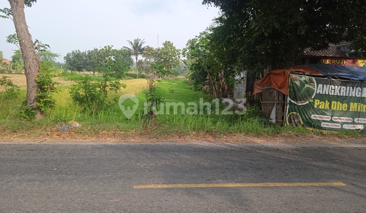 Cheap Large Special Strategic Land in Bustling Bantul