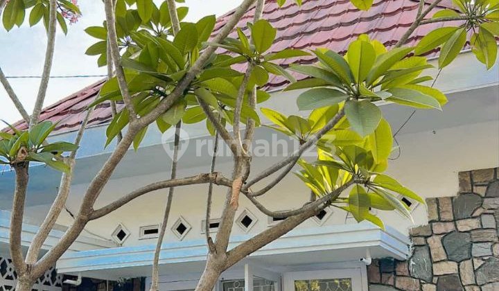 RUMAH CLASSIC KOLONIAL LUAS TENGAH KOTA JOGJA COCOK UNTUK CAFE 2