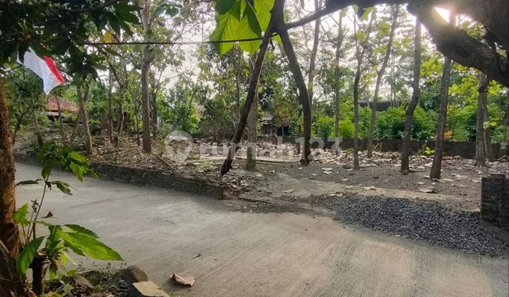 Tanah Pekarangan Lingkungan Perkampungan Asri Jetis Bantul Jogja
