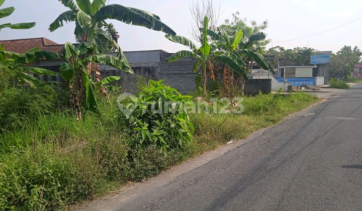 TURUN HARGA! Tanah Pekarangan Istimewa Strategis Dekat Kampus Isi