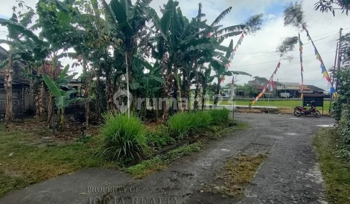 Hook Position Garden Land Beautiful Environment Jl Paris Jogja Hook Position Garden Land Beautiful Environment Jl Paris Jogja