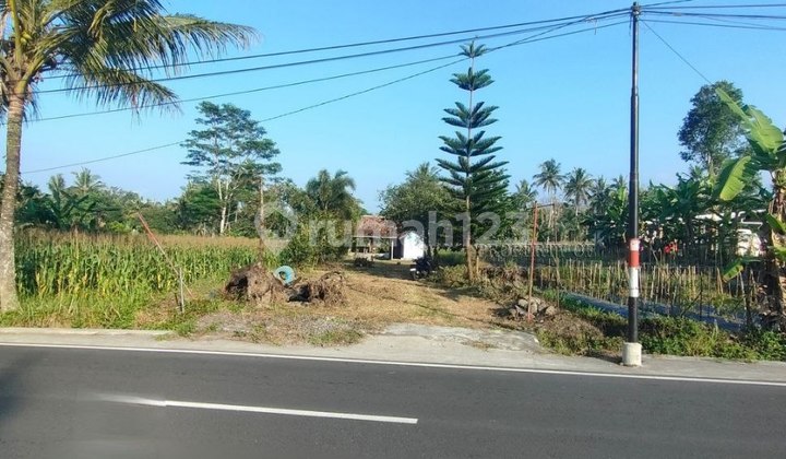 Tanah Strategis Daerah Wisata Kaliurang Cocok Untuk Investasi Tanah Strategis Daerah Wisata Kaliurang Cocok Untuk Investasi