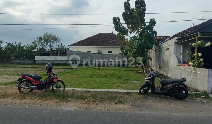 Strategic Dry Rice Field Attractive Near Jl Paris Jetis Bantul Strategic Dry Rice Field Attractive Near Jl Paris Jetis Bantul