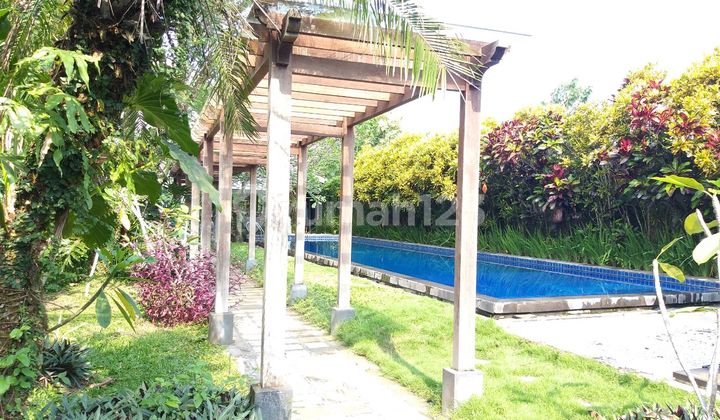 Price Drop! Luxurious Modern Javanese Ethnic House with Swimming Pool on Jl Gito Gati Sleman, North Jogja 2