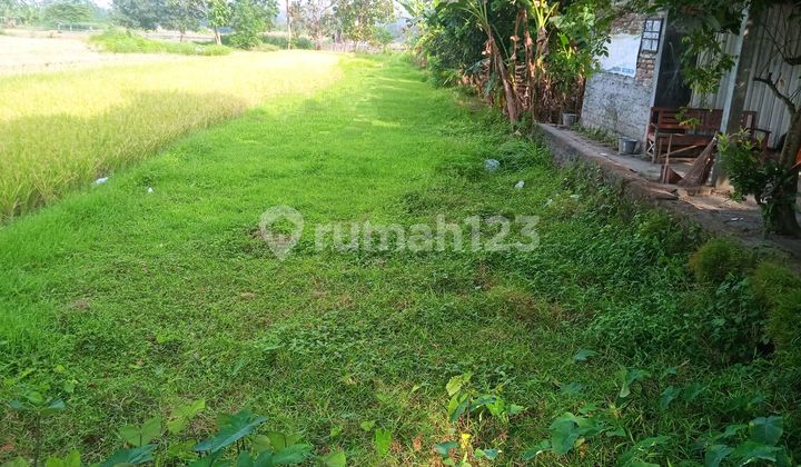 Tanah Pekarangan Luas Murah Istimewa Strategis Ramai Di Bantul