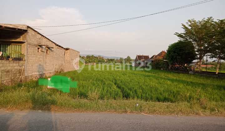 Jual Sawah Mangku Aspal Dekat Rumah Dinas Bupati Area Perkotaan Jual Sawah Mangku Aspal Dekat Rumah Dinas Bupati Area Perkotaan