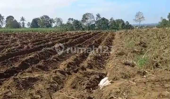 Land for Sale, Kamboja-Tumpang St. (CA) Land for Sale, Kamboja-Tumpang St. (CA)