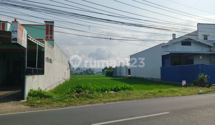 Leased Land, Jl. Raya Ampeldento