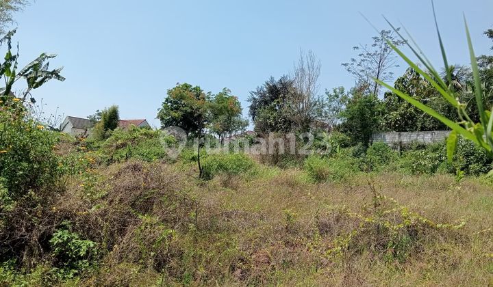 Land Lease, Tidar Atas-Karangbesuki