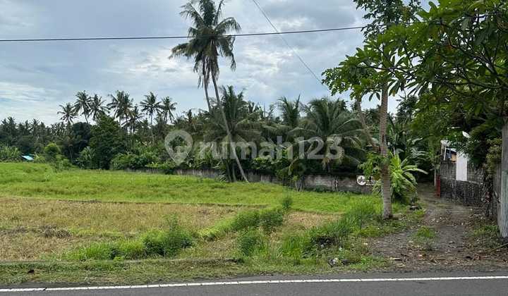 Land for Sale-Lease, Jasri Ujung Main Road, Karangasem Land for Sale-Lease, Jasri Ujung Main Road, Karangasem