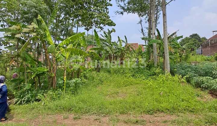 Tanah Jual, Candirenggo-Singosari