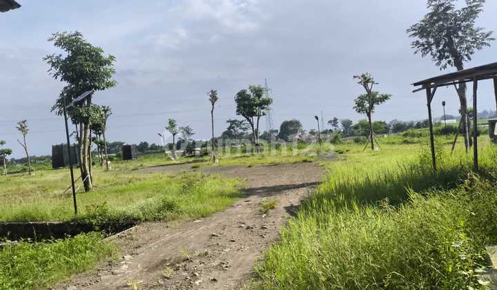 Tanah Jual, Kepuharjo-Karangploso