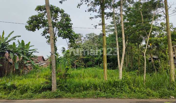 Land for Sale, Sumber Kradenan-Pakis