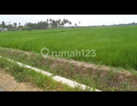 Tanah Jual, Jl. Raya Tambak Asri, Tajinan Tanah Jual, Jl. Raya Tambak Asri, Tajinan