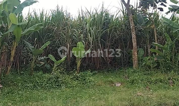 Land for Sale, Jl. Raya Pandanajeng (CA) Land for Sale, Jl. Raya Pandanajeng (CA)