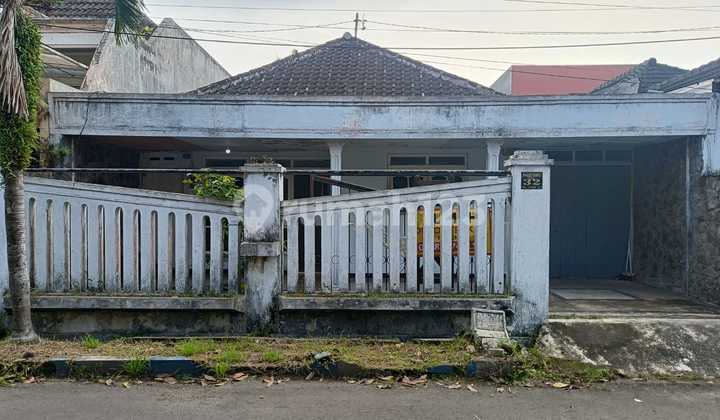 Rumah Sewa, Jl. Papa Biru