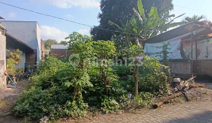 Tanah Jual, Jl. Moch Rasyid-Mulyorejo (Ah)