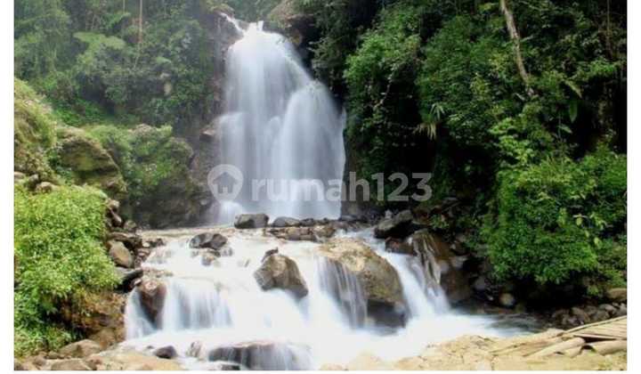 Affordable Houses Under 500 Million, Ready to Occupy! Affordable Houses Under 500 Million, Ready to Occupy!