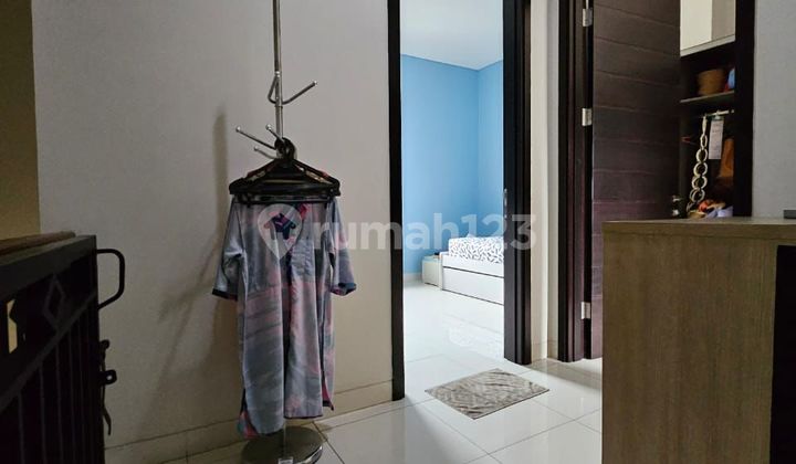 Cheapest Foglio Foresta Bsd City 2