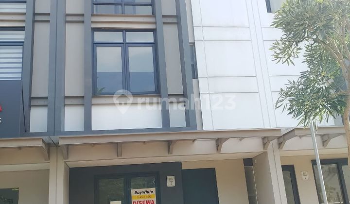 Disewa Ruko Latinos Business District Bsd City Strategis Murah Hanya 85Jt Pertahun Nego Siap Huni