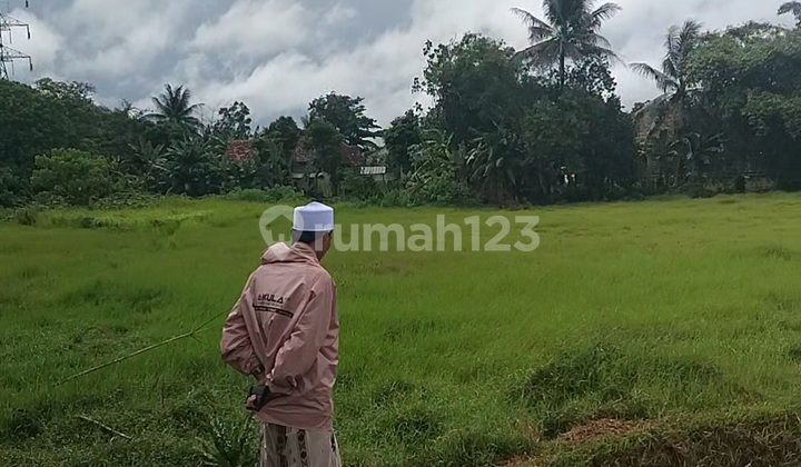 Tanah Sawah Darat Harga Murah. Lokasi Tigarksa Tangerang. Tanah Sawah Darat Harga Murah. Lokasi Tigarksa Tangerang.