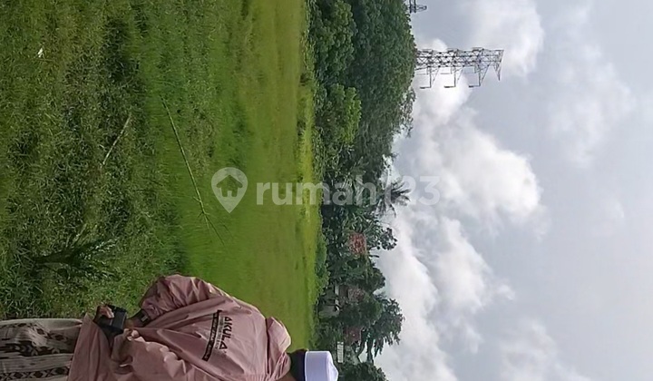Tanah Sawah Darat Harga Murah. Lokasi Tigarksa Tangerang.