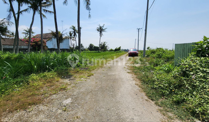 Dijual Rumah Murah Di Pering Gianyar Bali 1