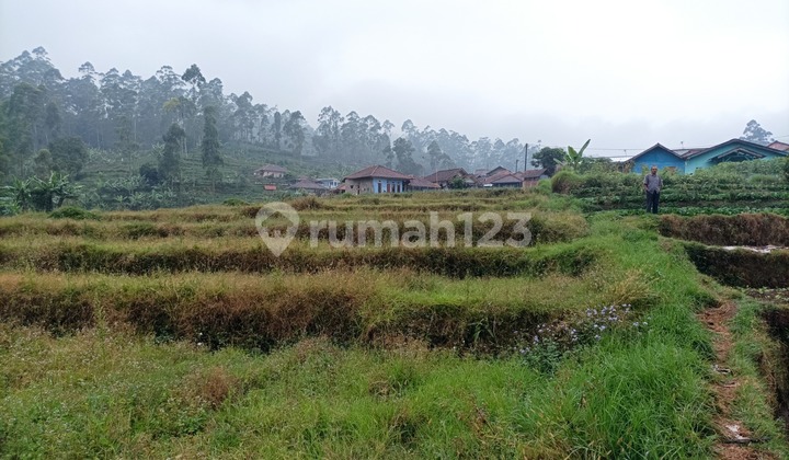 Dijual Tanah (Kebun) Luas 999M2 di Daerah Pasirjambu, Bandung