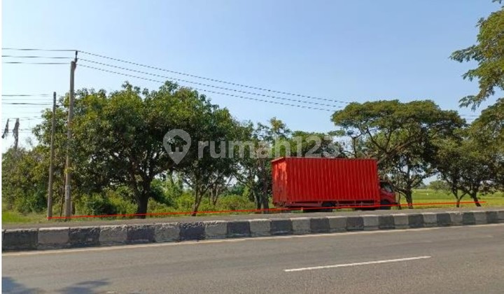 Dijual Melalui Lelang, Tanah Sawah didaerah Indramayu Dijual Melalui Lelang, Tanah Sawah didaerah Indramayu