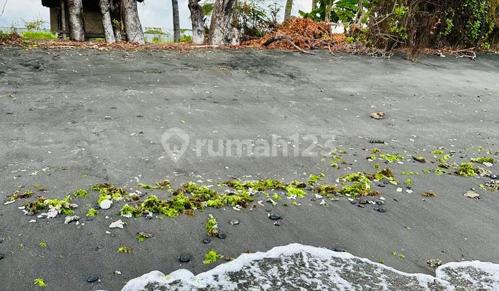 Tanah Sawah Tepi Pantai Di Labuhan Pandan Lombok Timur Nusa Tenggara Barat