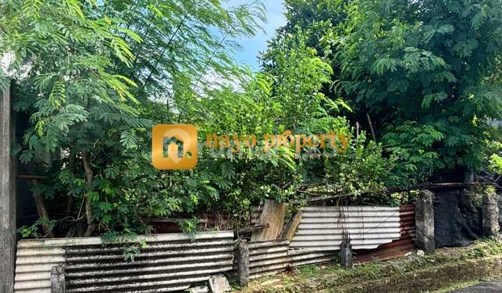 Lahan Kavling Siap Bangun Di Kelapa 2 Wetan Ciracas Jakarta Timur Lahan Kavling Siap Bangun Di Kelapa 2 Wetan Ciracas Jakarta Timur