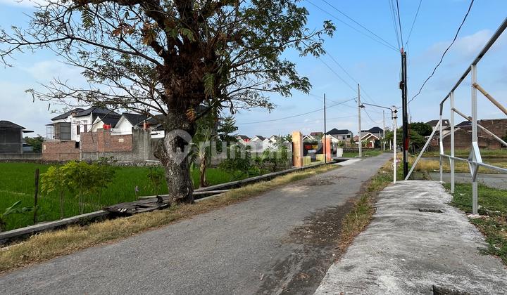 Jualan Rumah Mewah 2 Lantai + Private Pool Lokasi Strategis Jualan Rumah Mewah 2 Lantai + Private Pool Lokasi Strategis