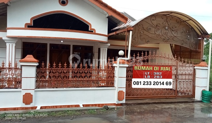 Rumah Mewah Lokasi Strategis Di Sumbersolo Rumah Mewah Lokasi Strategis Di Sumbersolo