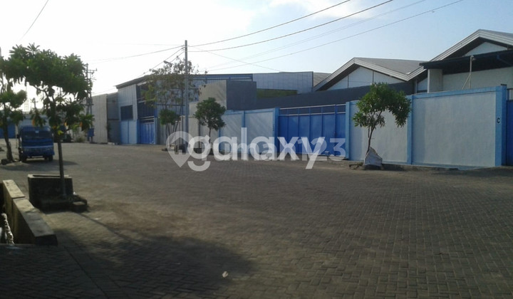 Gudang Mutiara Tambak Langon Margomulyo Surabaya