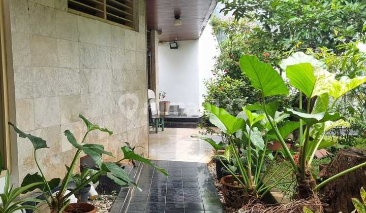 Rumah Asri Di Cempaka Putih Jakpus Rumah Asri Di Cempaka Putih Jakpus