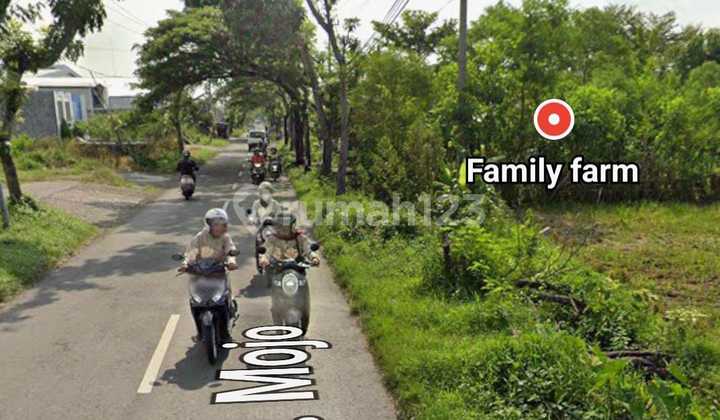 Land for Rent in the Industrial Area, Jl Mojo Tasikmadu