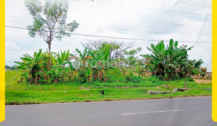 For Rent, Land Already Leveled in Dlopo Street, Gedangan For Rent, Land Already Leveled in Dlopo Street, Gedangan