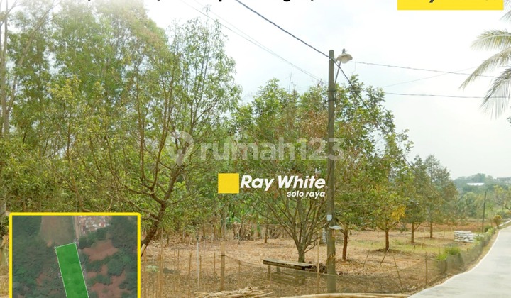 Vacant Land for Sale in Mojogedang, Karanganyar Vacant Land for Sale in Mojogedang, Karanganyar