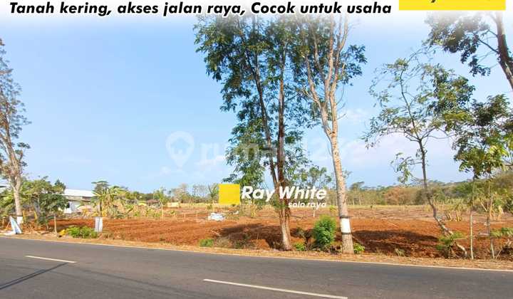 Dry land for sale on Mojogedang Main Road, suitable for business