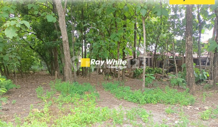 Dijual tanah di Gedongan Colomadu