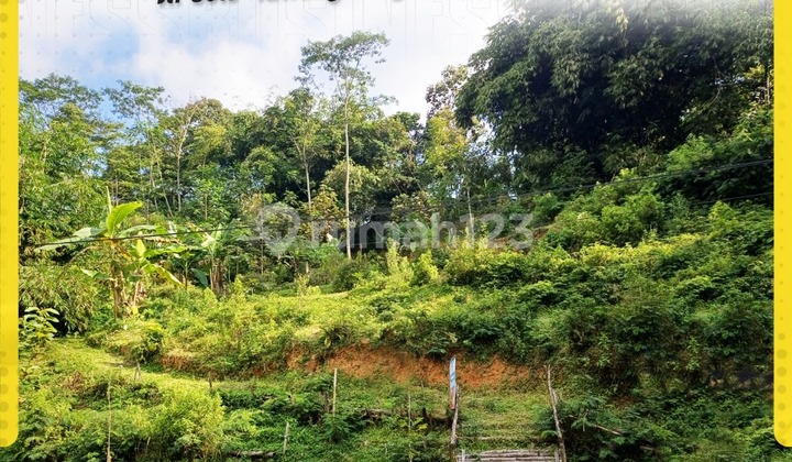 Dijual Tanah Siap Bangun Di Karangpandan Dekat Tempat Wisata