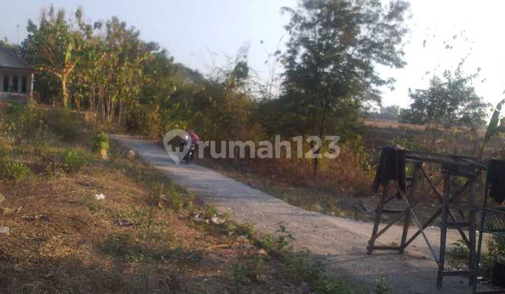 Land for Sale in Kedawung, Sragen