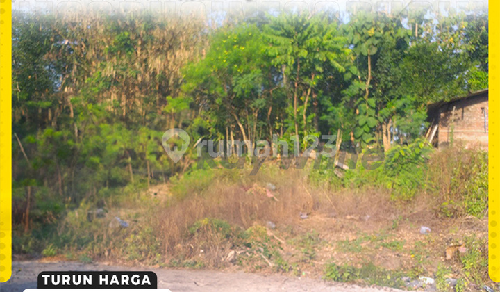 Land for Sale in Kedawung, Sragen