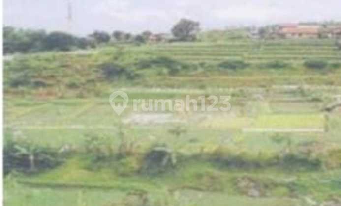 Tanah Di Pinggir Jalan Raya Cipanas, Cianjur