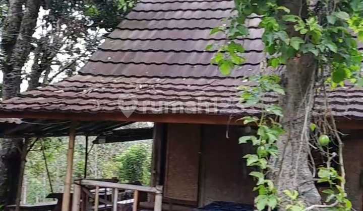 2beli Tanah Bonus Camping Siap Disewakan